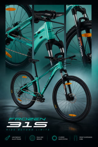 WST 29” S គ្រឿង Shimano Altus, ហ្រ្វាំងប្រេង បូមLock