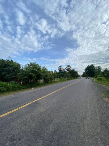 ដីលក់បន្ទាន់ ពោធិ៍សាត់