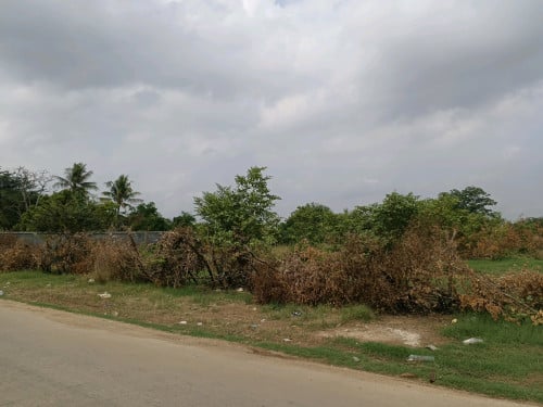 ទីតាំដី ក្បែរផ្លូវ ៦០ម៉ែត្រ
