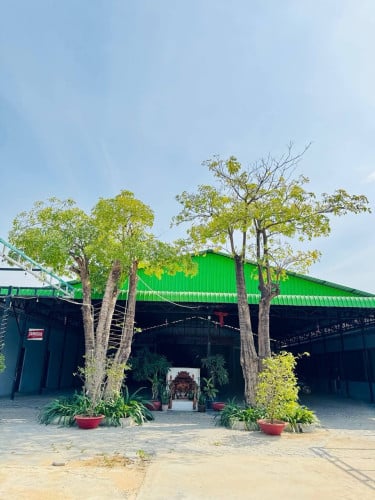 ដី និង ហាងសម្រាប់ជួល