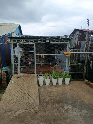 ដីផ្ទះលក់ 18000$ ចរចារ