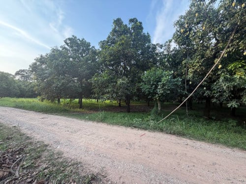 ដីចំកាស្វាយលក់ ទំហំ 21.3m x 90m