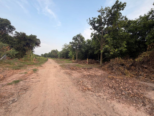 ដីចំកាស្វាយលក់ ទំហំ 21.3m x 90m