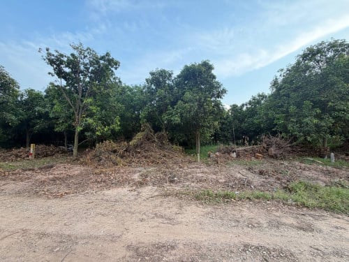 ដីចំកាស្វាយលក់ ទំហំ 21.3m x 90m
