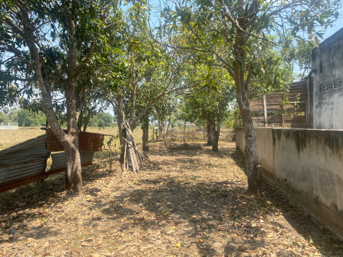 ផ្ទះលក់ 30m ពីផ្លូវជាតិលេខ2