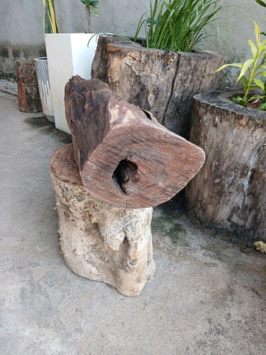 ខ្លឹមអំពិលជាវគិតkg