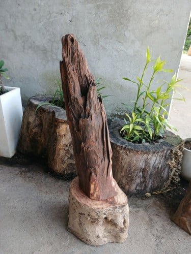 ខ្លឹមអំពិលជាវគិតkg