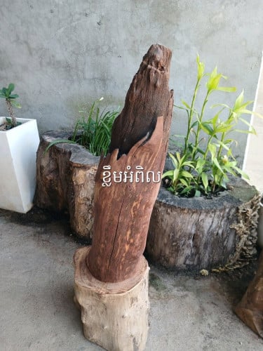 ខ្លឹមអំពិលជាវគិតkg