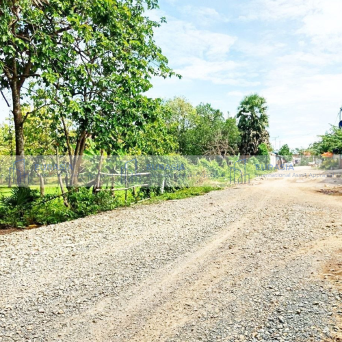 ដីសម្រាប់លក់ | LAND FOR SALE តំបន់សក្តានុពល (កៀនស្វាយ)