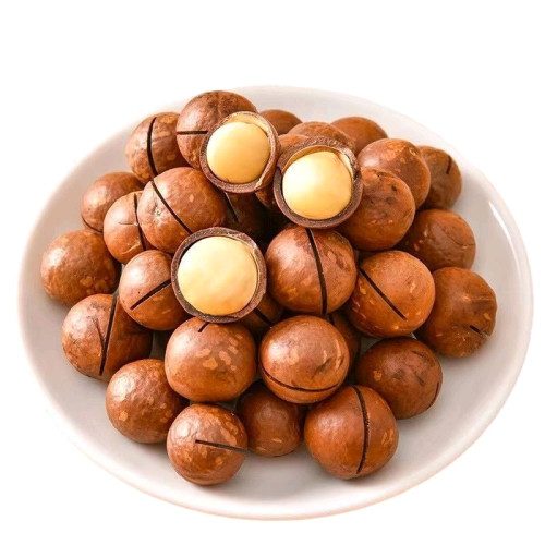 គ្រាប់ម៉ាកាដាមៀ(Macadamia Nuts)1កំប៉ុង500g