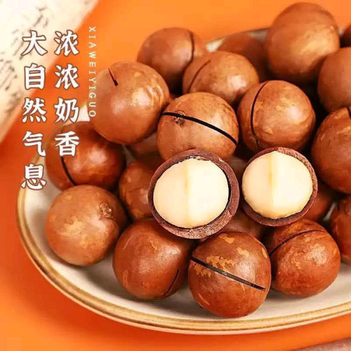 គ្រាប់ម៉ាកាដាមៀ(Macadamia Nuts)1កំប៉ុង500g
