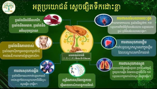 កាហ្វេសុខភាពNew T Rich