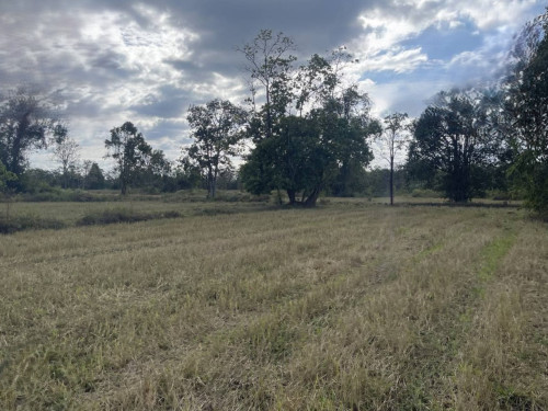 ๐ฆLand Available for Urgent Sale at a Special Price (Negotiable).