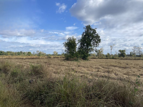๐ฆLand Available for Urgent Sale at a Special Price (Negotiable).