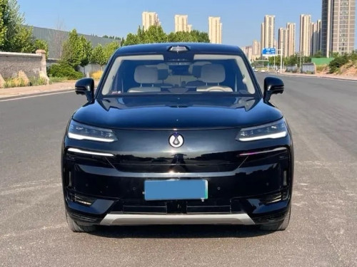 2025 Denza N9 Full Option