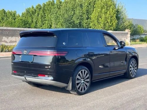 2025 Denza N9 Full Option