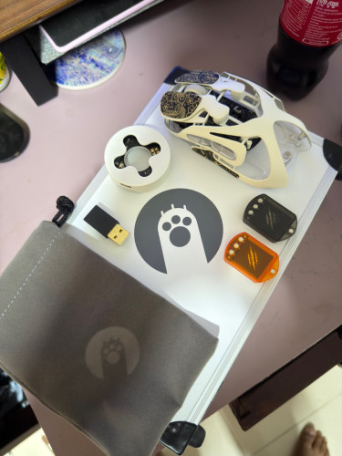 Angry miao mouse