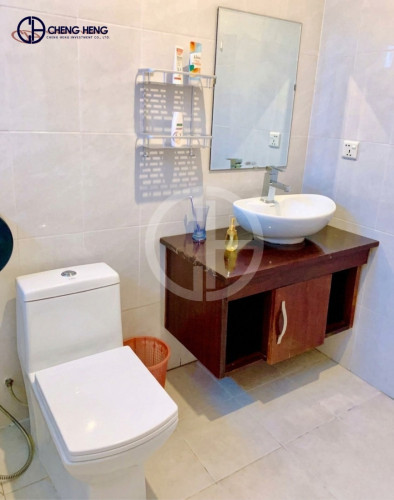Apartment for rent at Toul Kouk -R460