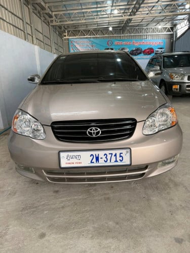 Corollaឡានខ្ចីណាស់អត់បុកអត់ប៉ះកង់ថ្មី