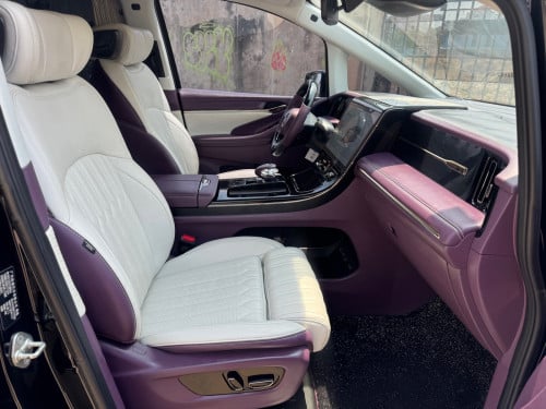 GAC GN8 VIP