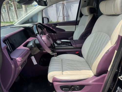 GAC GN8 VIP