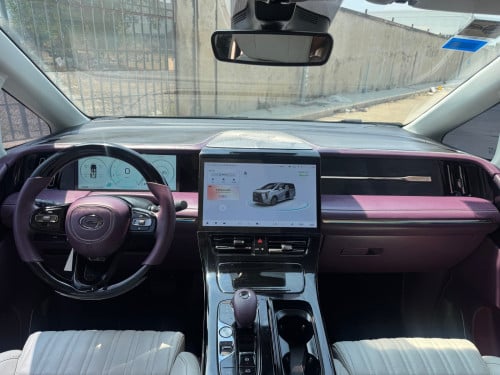 GAC GN8 VIP