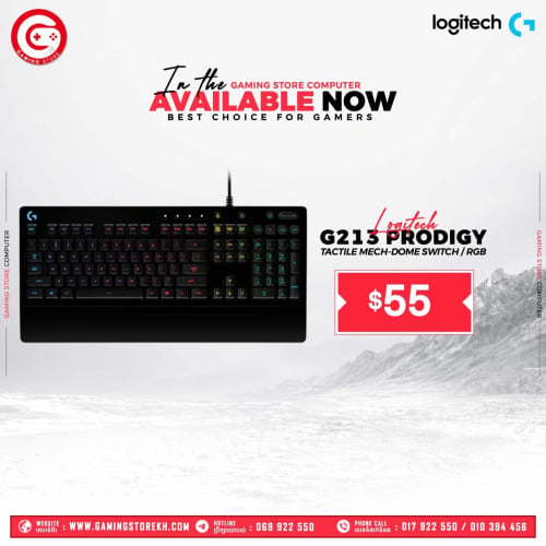 Gaming Accessories