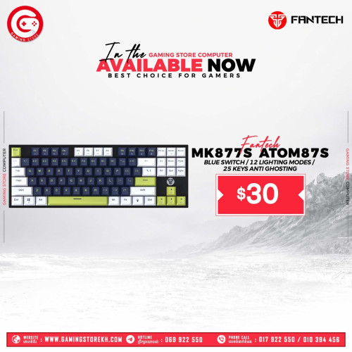 Gaming Accessories