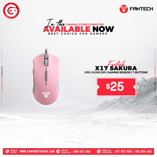 Gaming Accessories