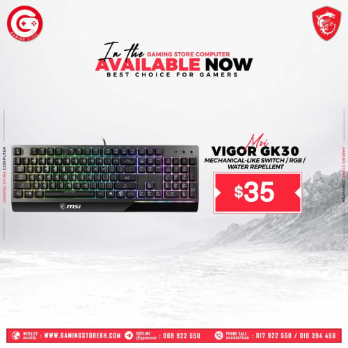 Gaming Acessories