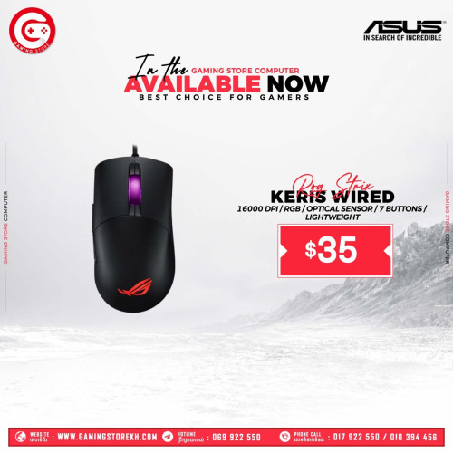 Gaming Acessories