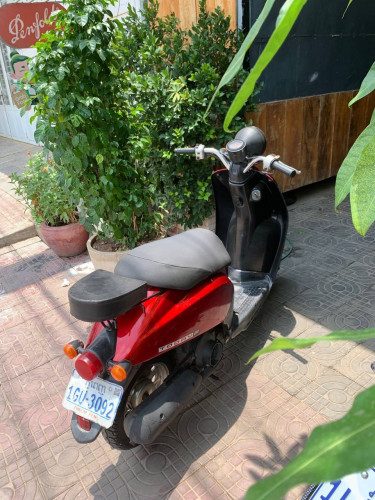 Honda today $310