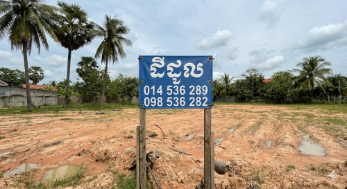 Land for rent (1$/1m2)