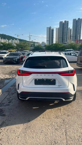 Lexus Nx450h 2022 Plug in Hybrid Full
