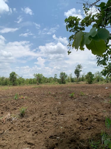 ដីចំការក្រុងលក់តំលៃពីស៣ស
