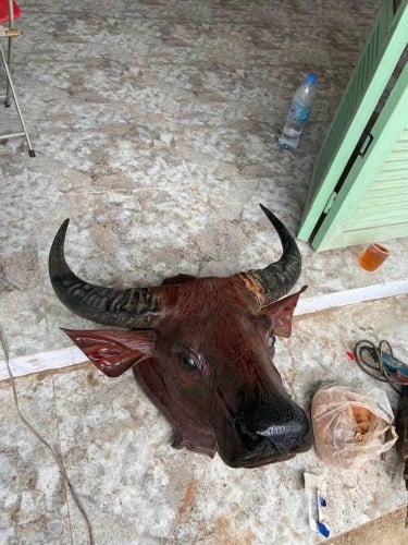 ស្នែងក្របី ក្បាលឈើ
