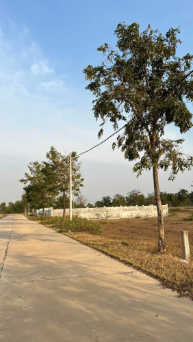 ដីលក់បន្ទាន់ ក្រុងសៀមរាប