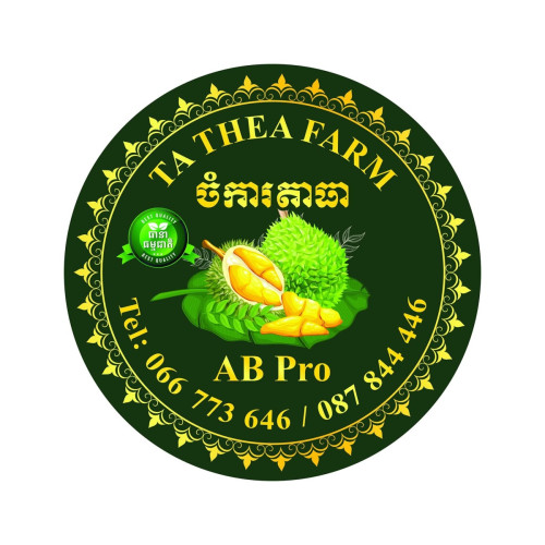 ផ្លែទុរេនរី៦
