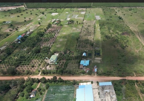 ផ្ទះ និង ដី លក់បន្ទាន់ !!!