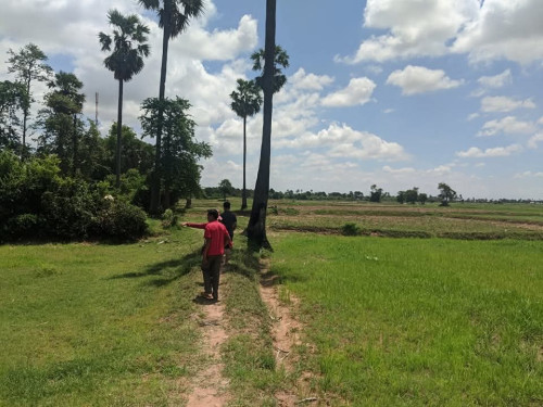 ដីស្រែលក់