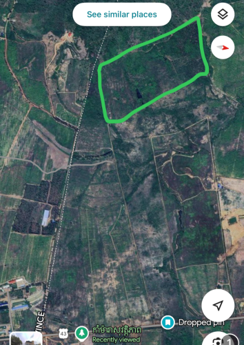ដីផ្លូវ៤៣ 13000$/ ១ហិកតា