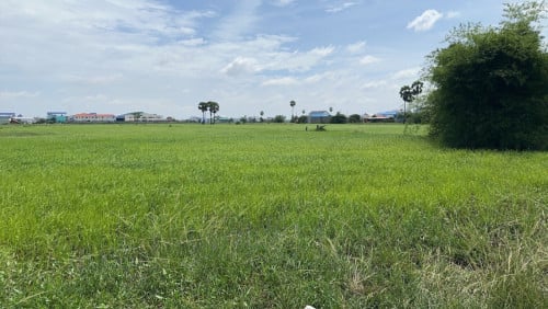 ដីលក់ 51,463m² ប្លង់រឹង បំបែក 3 ដី ស្រុកអង្គស្នួល ជិតផ្លូវ 42