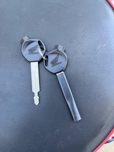 កូនទាជប៉ុនលក់ 990$