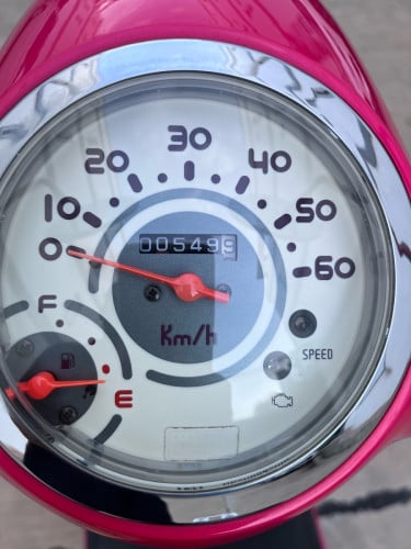 កូនទាជប៉ុនលក់ 990$