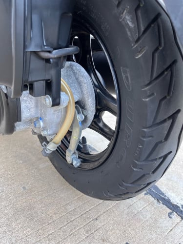 កូនទាជប៉ុនលក់ 990$