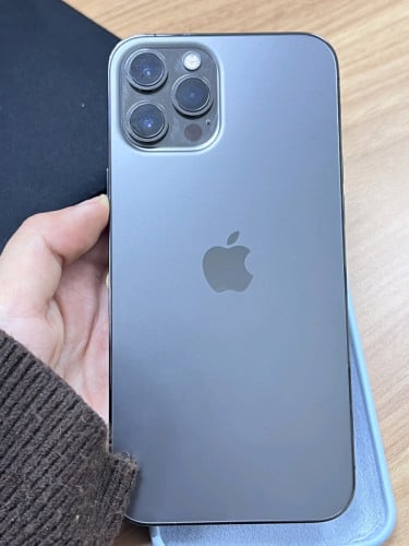12 Pro Max 256GB ហ្ស៊ីន 99%