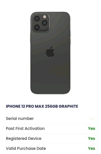 12 Pro Max 256GB ហ្ស៊ីន 99%