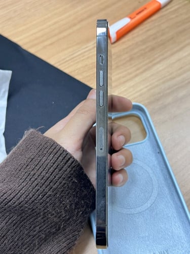 12 Pro Max 256GB ហ្ស៊ីន 99%
