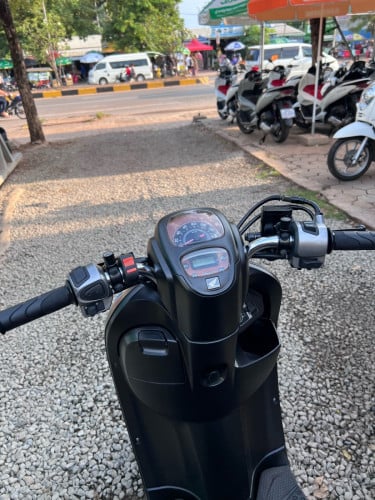 1690$SCOOPY2019 110