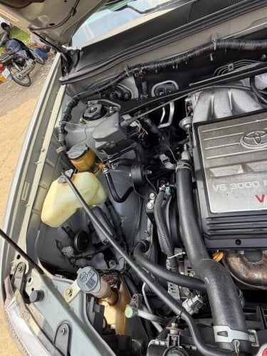 Highlander 02 ប៉ុង1 Limited លក់បន្ទាន់